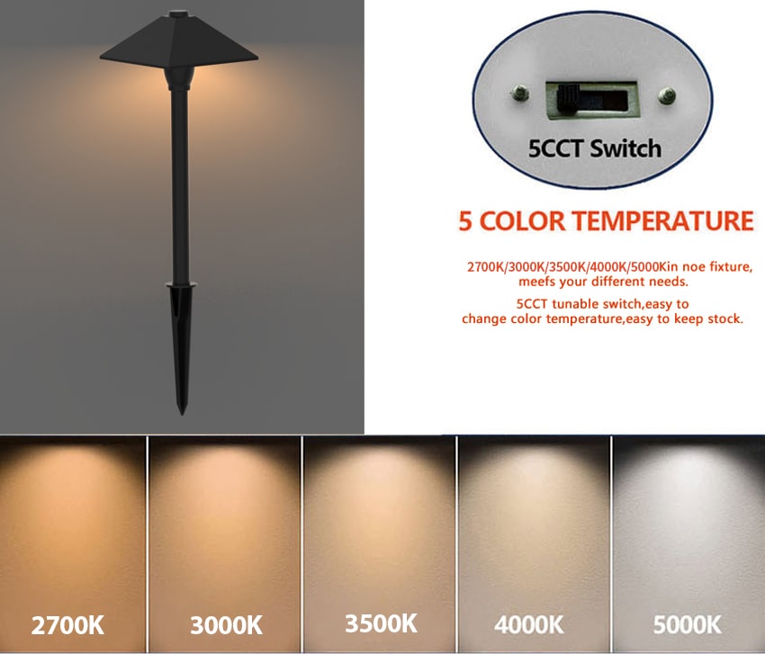 5CCT switchable